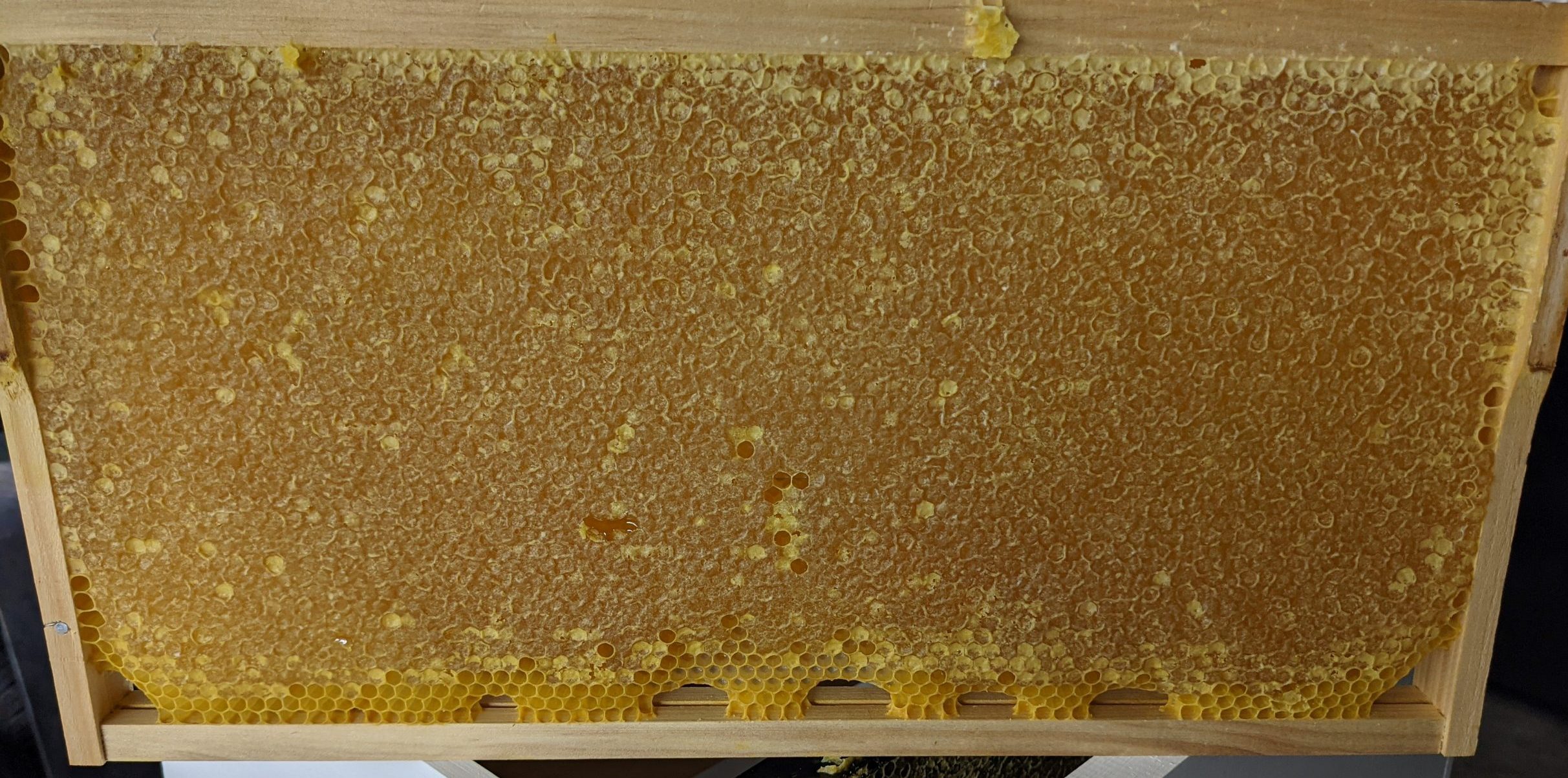 Fully capped honey 